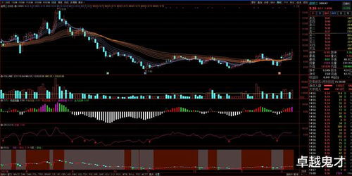 每日三股 2022年2月15日細(xì)胞技術(shù)研發(fā)與應(yīng)用投資熱點(diǎn)分析