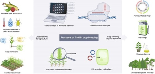 高彩霞研究組在Nature Reviews Genetics發(fā)表綜述 基因組靶向修飾工具在作物育種中的前沿應(yīng)用