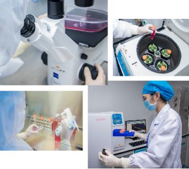 自貿區示范新篇章 壹加健康攜手珠海市人民醫院，開啟細胞技術研發與應用生命健康戰略合作