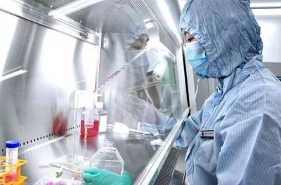 孵化器里誕生新成果 開發區又添兩家市級高新技術企業，深耕細胞技術研發與應用